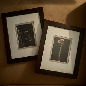 Pair of 2 with Frames